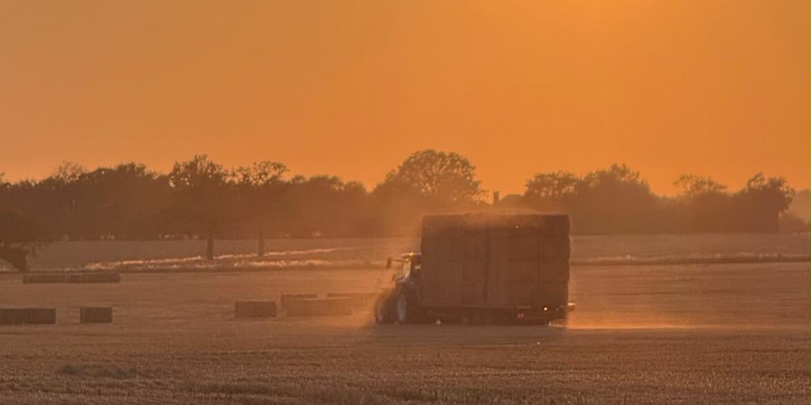 Harvesting in the Dusk